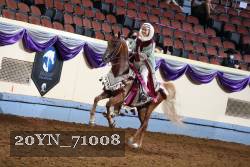 20YN_71008 thumbnail