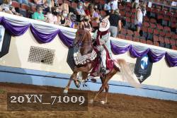 20YN_71009 thumbnail