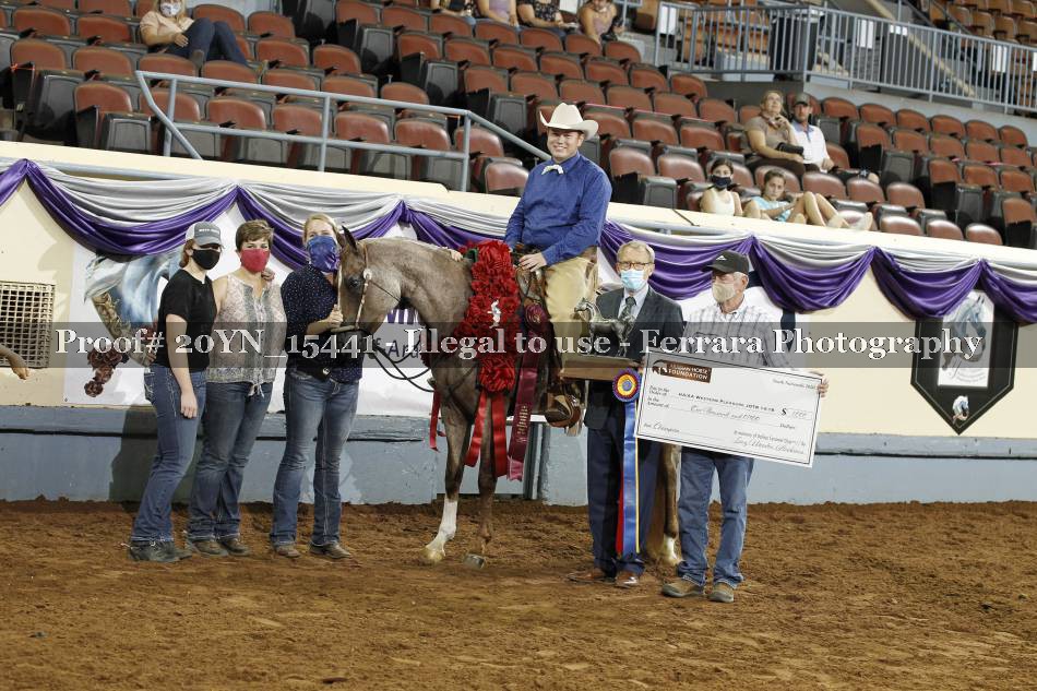 Proof Number 20YN_15441
