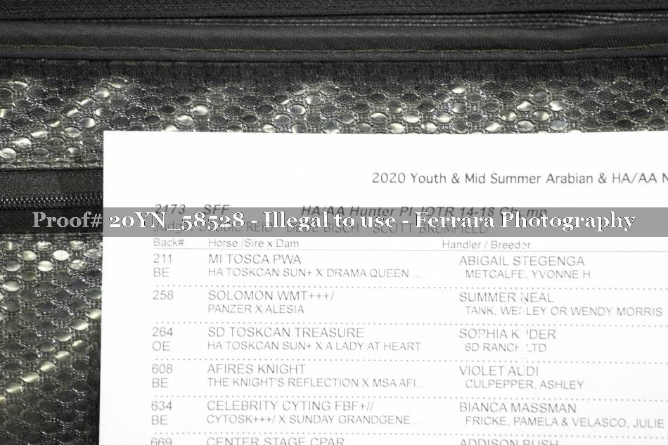 Proof Number 20YN_58528