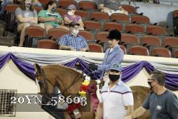 20YN_58603 thumbnail