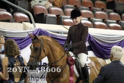 20YN_58606 thumbnail