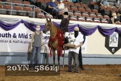 20YN_58614 thumbnail