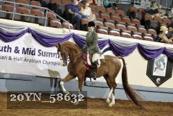 20YN_58632 thumbnail