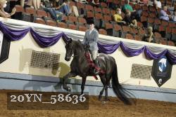 20YN_58636 thumbnail