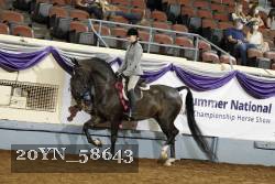 20YN_58643 thumbnail