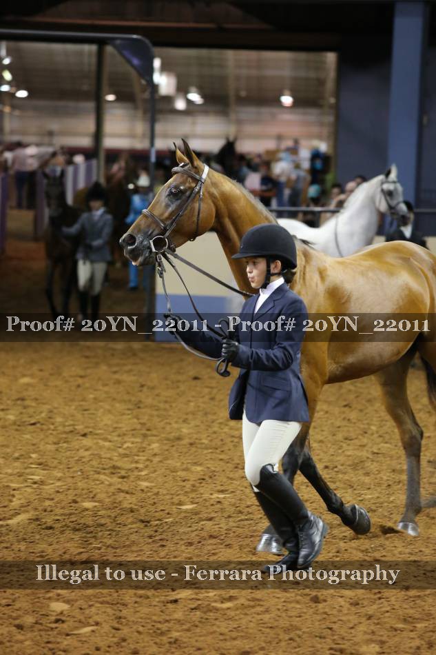 Proof Number 20YN_22011