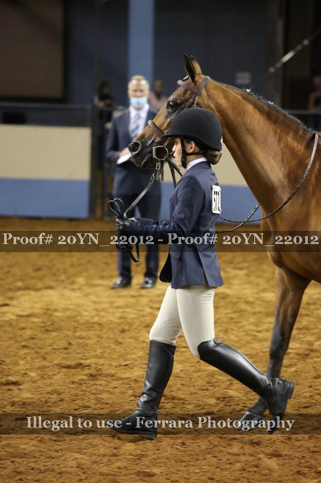 Proof Number 20YN_22012