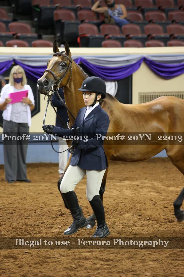 Proof Number 20YN_22013
