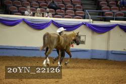 20YN_22126 thumbnail
