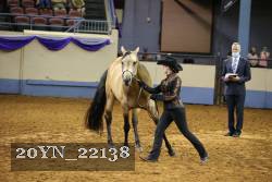 20YN_22138 thumbnail