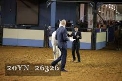 20YN_26326 thumbnail