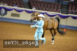 20YN_28503 thumbnail