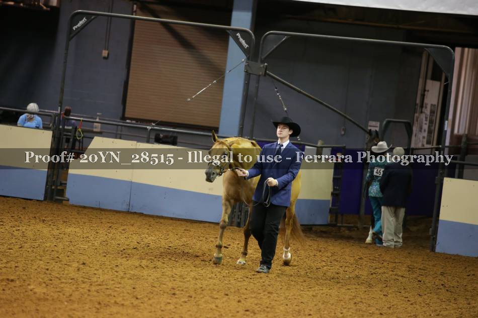 Proof Number 20YN_28515