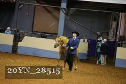 20YN_28515 thumbnail