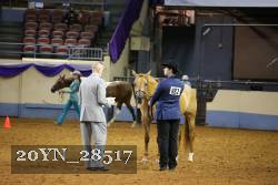 20YN_28517 thumbnail