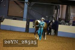 20YN_28525 thumbnail