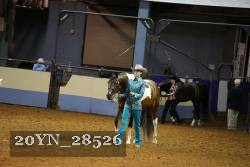 20YN_28526 thumbnail