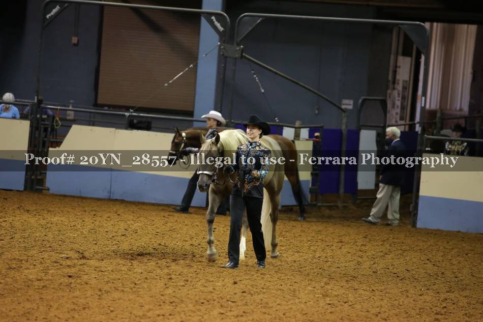 Proof Number 20YN_28557