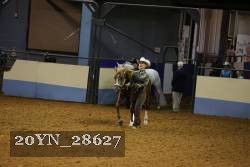 20YN_28627 thumbnail