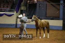 20YN_28633 thumbnail