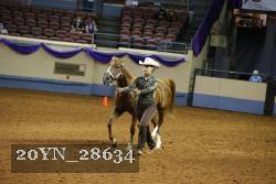 20YN_28634 thumbnail
