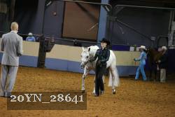 20YN_28641 thumbnail
