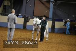 20YN_28642 thumbnail