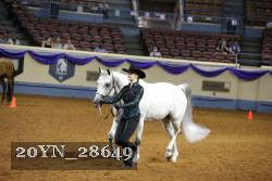 20YN_28649 thumbnail