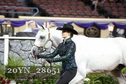 20YN_28651 thumbnail