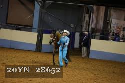 20YN_28652 thumbnail