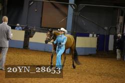 20YN_28653 thumbnail