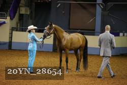 20YN_28654 thumbnail
