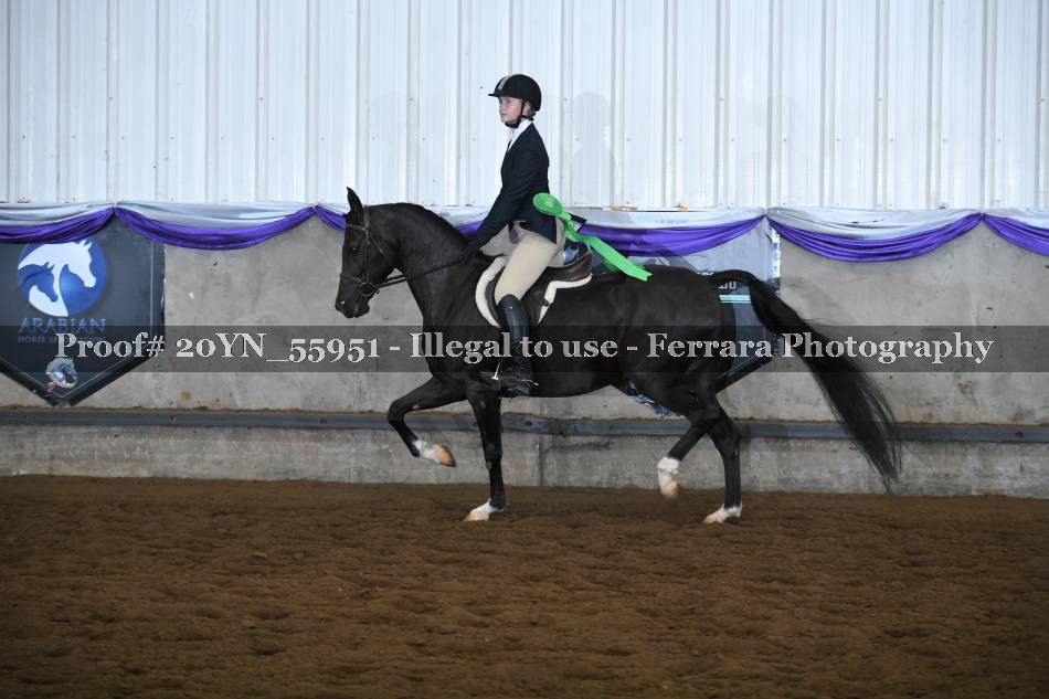 Proof Number 20YN_55951