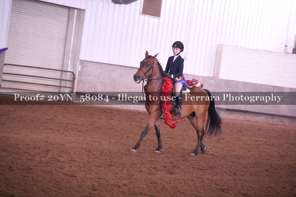 Proof Number 20YN_58084