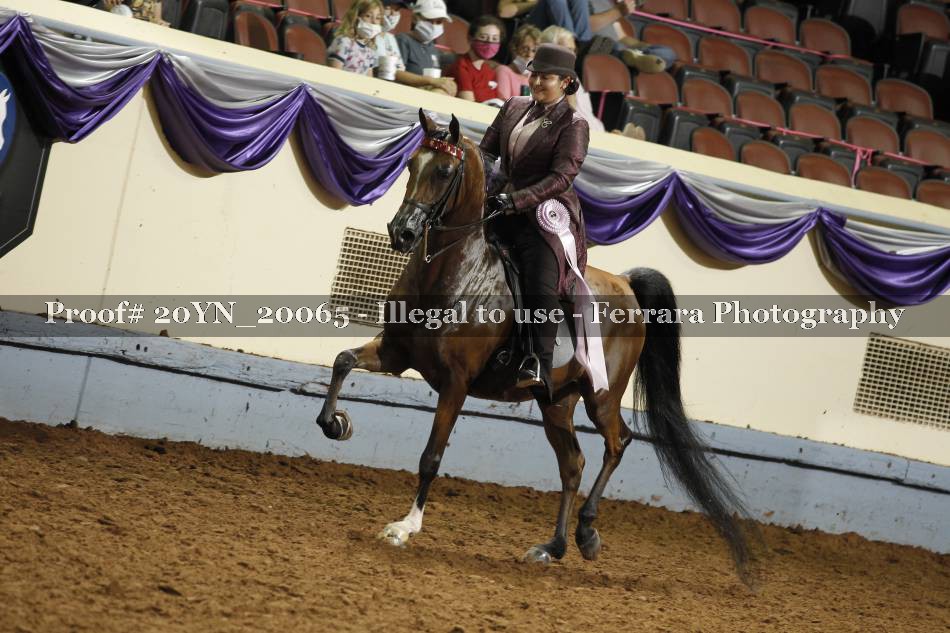 Proof Number 20YN_20065