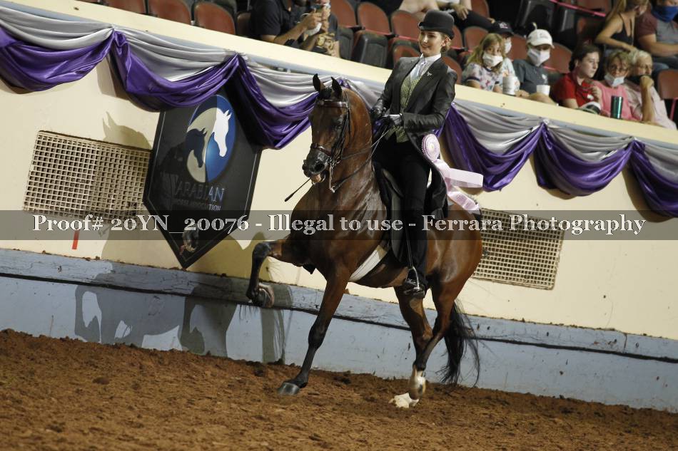 Proof Number 20YN_20076