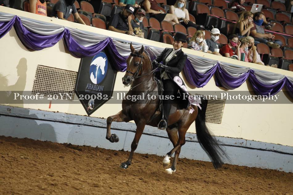 Proof Number 20YN_20082