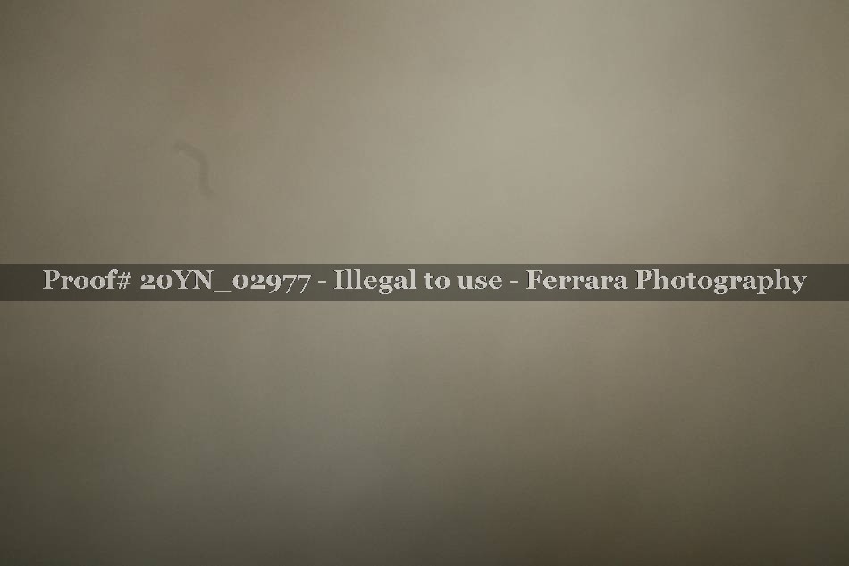 Proof Number 20YN_02977