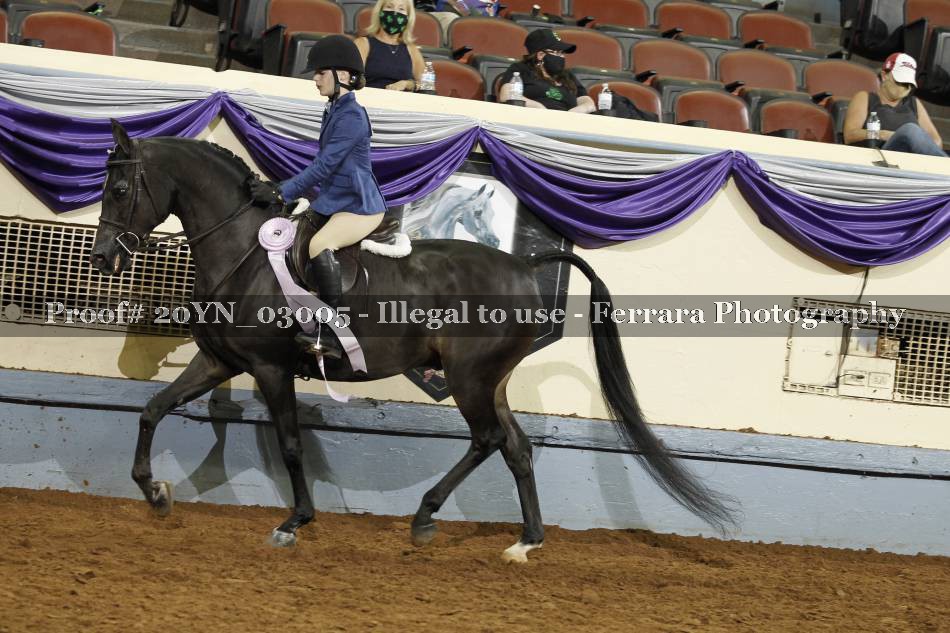 Proof Number 20YN_03005