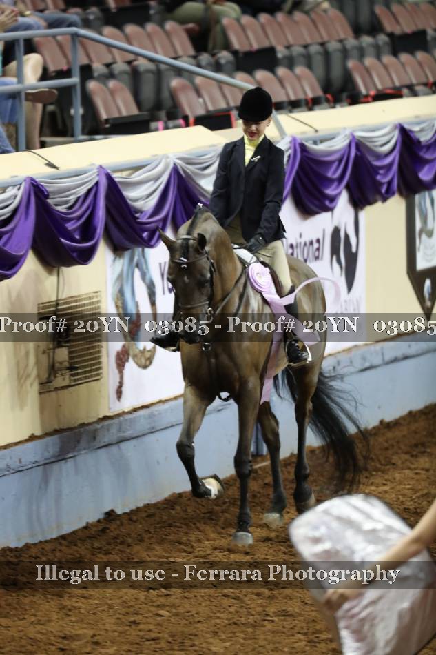 Proof Number 20YN_03085