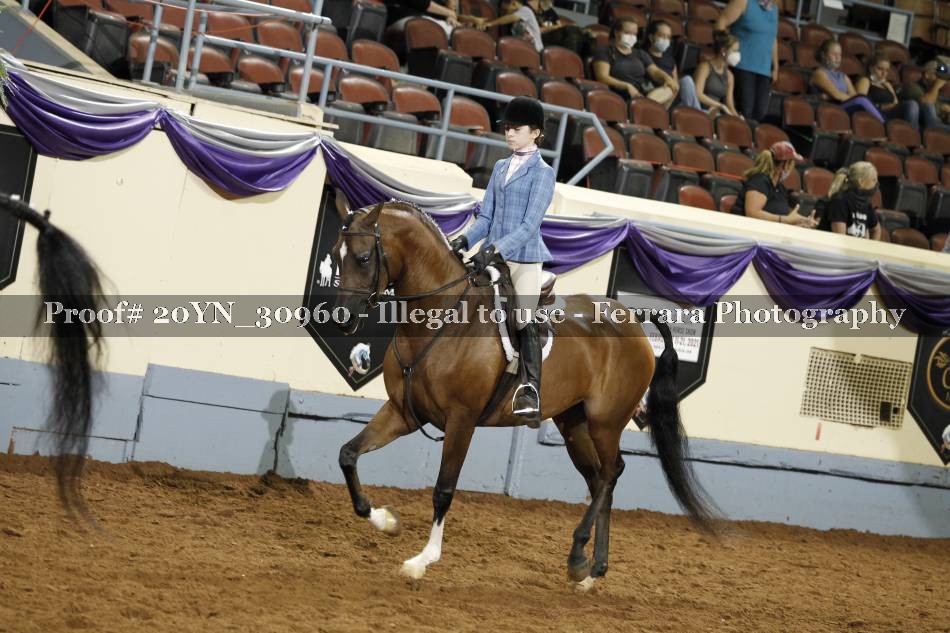 Proof Number 20YN_30960