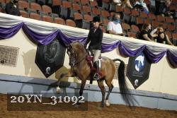 20YN_31092 thumbnail