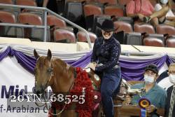 20YN_68525 thumbnail