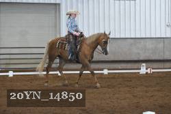 20YN_14850 thumbnail