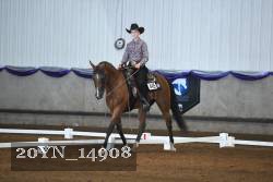20YN_14908 thumbnail