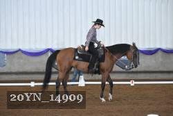20YN_14909 thumbnail