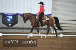 20YN_14964 thumbnail