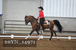 20YN_14971 thumbnail