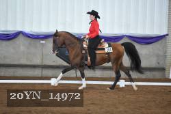 20YN_14972 thumbnail